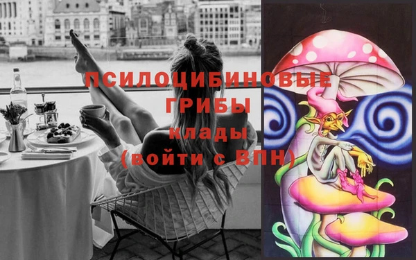 первитин Белокуриха