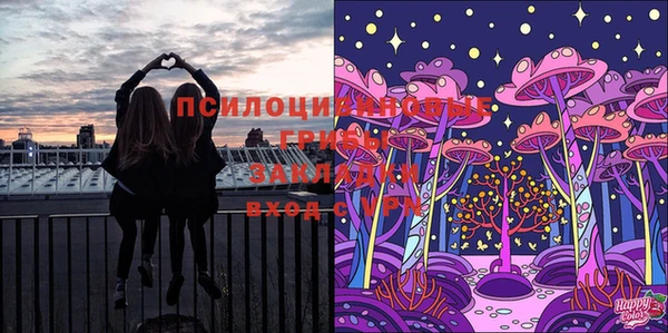 скорость Богородск