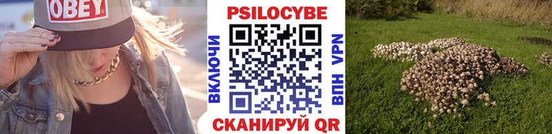 ОМГ ОМГ как зайти  Весьегонск  Галлюциногенные грибы Psilocybine cubensis  где купить наркотик 